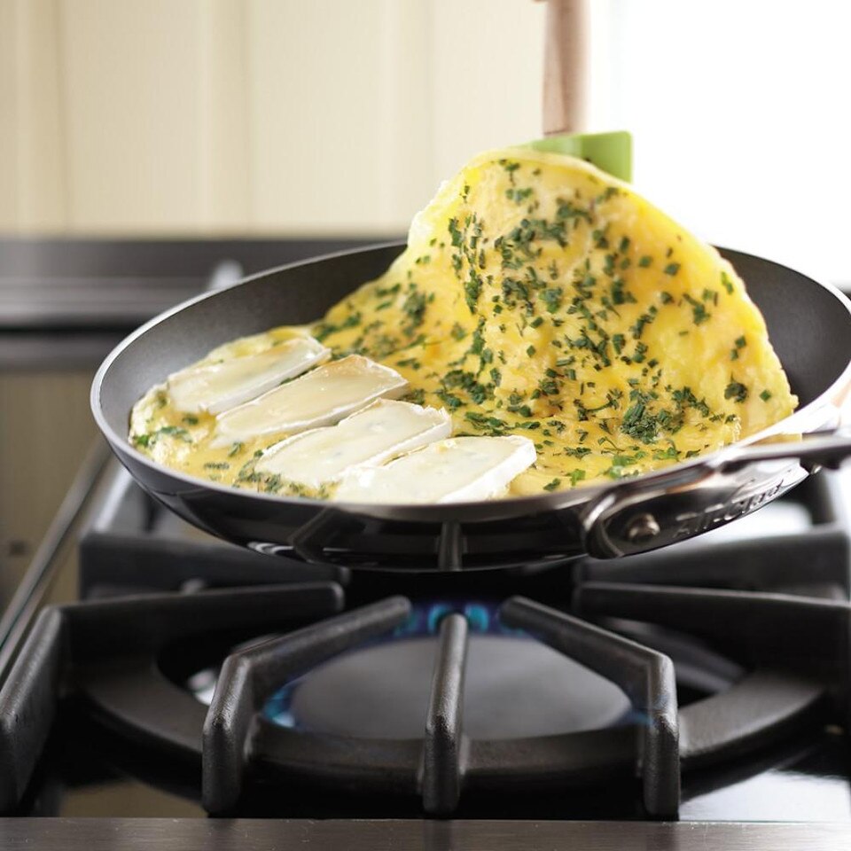 AllClad d5 StainlessSteel Nonstick Omelette Pan, 23cm Williams